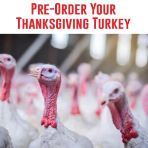 Pre-Order Your Thanksgiving Turkey