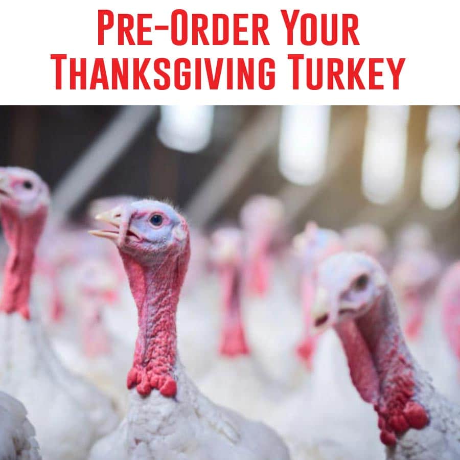 Pre-Order Your Thanksgiving Turkey